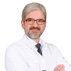 Halit Chavuzhoglu